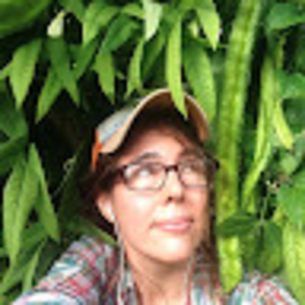 Meet your Posher, Ilana